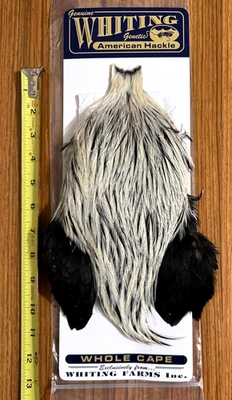 Capa de gallo americano Whiting, tejón plateado, atar moscas Foto 1 de 2