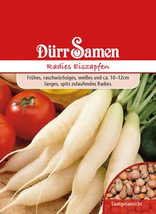 Radies Eiszapfen Radieschensamen von Dürr Samen ca 600 Korn Radiessamen - Bild 1 von 1