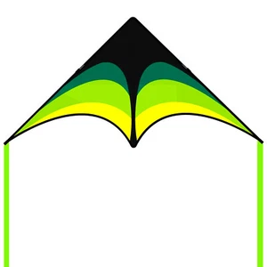 Mint's Colorful Life Delta Kite for Beginners Kids & Adults Easy to Fly - Picture 1 of 6