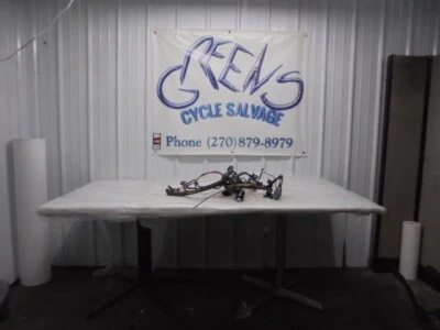 Harley-Davidson Sportster 883 2009 OEM arnés de cableado del motor principal Foto 1 de 4