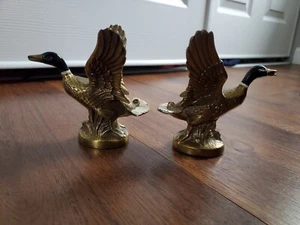 Golden Goose - Bronze Figure - Exquisite Feather Details -Wildlife Art  - Picture 1 of 20