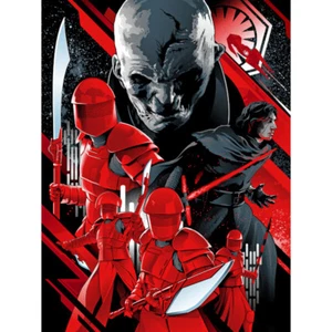 Star Wars Alexander Iaccarino The New Order The Last Jedi Silk Screen Print NEW - Picture 1 of 1