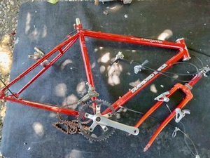 Vintage Diamond Back Fleet Streak 1984  toptube 22" downtube 20" - Picture 1 of 7