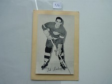 VINTAGE 1944/64 BEEHIVE HOCKEY PHOTO DETROIT RED WINGS TED LINDSAY  NO326
