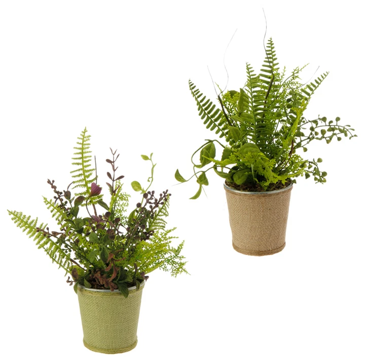 NUEVO~RAZ Importaciones~12" Maceta Mezcla Helecho Planta Artificial Flor~Juego 2~Decoración Floral Foto 1 de 1