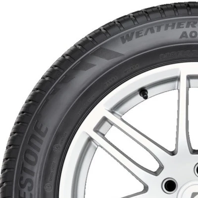 Bridgestone Weather Control A005 Evo 205/65 R15 99V XL - Bild 1 von 2