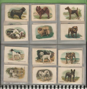 #XX. SET(50) 1914 DOGS ANONYMOUS SILK CIGARETTE CARDS IN PHOTO ALBUM - Bild 1 von 11