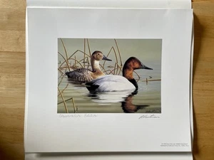 1999 Texas Waterfowl Stamp Print Conservation Edition Signed By Robert Hautman - Picture 1 of 4