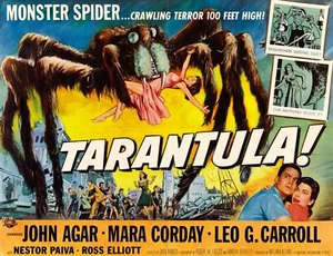 3306.Tarantel Horrorfilm Film POSTER. Zimmer Zuhause Küche Kunst blau Dekoration - Bild 1 von 1