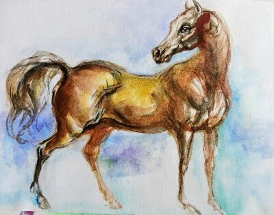 Arte caballo árabe acuarela pintura firmada, semental, ecuestre, equino 5x7" Foto 1 de 3
