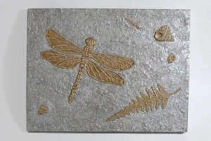 Fossil Fantasy - 12""x 16"" Original Gemälde - Libelle, Farn & Muschel im Relief! - Bild 1 von 9