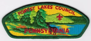 CSP - FOREST LAKES COUNCIL - S-2 - FUSIONIERT 1990 - Bild 1 von 1