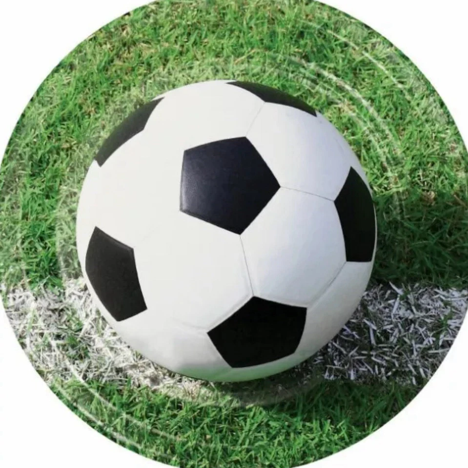 Paquete de 8 platos de 9 pulgadas para fiestas de cumpleaños fanáticos de los deportes Foto 1 de 1