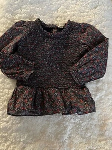 Baby Gap girls sz 4 navy blue floral ruffle bottom blouse. Lined, adorable - Picture 1 of 8