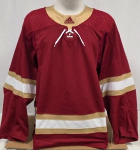 Brand New Men's adidas NCAA Denver Pioneers Hockey Blank Jersey - Size 54 - Picture 1 of 6