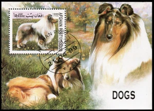 ROUGH COLLIE LASSIE Dog Postage Stamp Souvenir Mini Sheet AFGHANISTAN 1999 Used - Picture 1 of 1