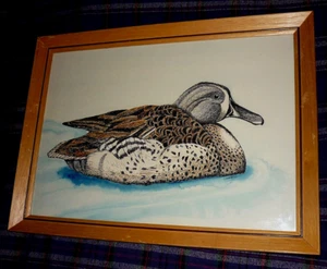 Framed Original PEN & INK WATERCOLOR ' BLUE WINGED TEAL DUCK ' by C. Cochell '63 - Picture 1 of 4