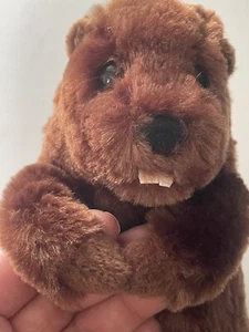 Douglas Buddy Beaver Plush Stuffed Animal 9 inchToy Brown - Picture 1 of 7