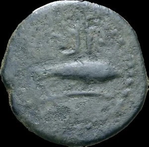 Sexi Iberia, Æ Half Unit. Circa 150-101 BC. Helmeted head Tunny. Very Rare Sexi - Picture 1 of 2
