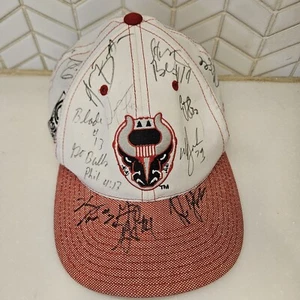 BIRMINGHAM BULLS AUTOGRAPHED HAT hockey SPHL Signed  - Picture 1 of 8
