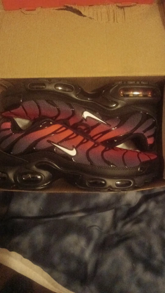 nike requin tn - Photo 1/1