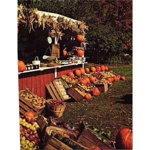 Abundant Autumn Harvest Season 1970s Retro Kitsch Wall Art Print SF5 - Picture 1 of 2