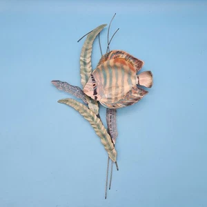 Bovano von Cheshire emaillierte Metallskulptur Wandbild buntes Riff tropische Fische - Bild 1 von 8