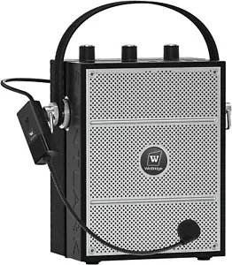 Sanmic 40W S98 Wireless Voice Amplifier Portable Bluetooth 5.3 PA UHF Winbridge - Bild 1 von 8