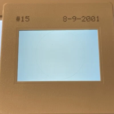 Художественный слайд 35 мм минимализм Sol Lewitt «Winifred Smith Hall, Irvine 2001» - Изображение 1 из 3