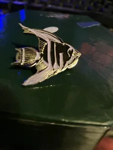 Angelfish Pin - Picture 1 of 5
