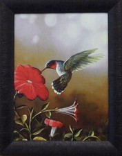 Jim Hansel Ruby Throated Hummingbird Studio Canvas Print-Framed 15" x 19"
