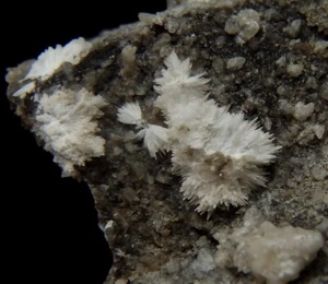 STRONTIANITE nice snow-white crystals !!! -- CZECH Rep. ---- Třinec /pk654 - Picture 1 of 12