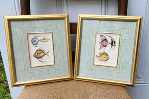 Set of 2 Fish Art Custom Matted Framed Prints 10x9 Decor - Picture 1 of 9
