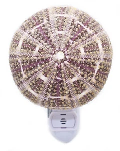 Seashell Night Light Alfonso Sea Urchin LED Decorative Beach Decor 5" Sensor - Picture 1 of 3