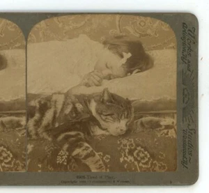 Tired of Play Cat Nap Girl Underwood Children Genre Stereoview - Picture 1 of 3