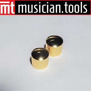 Light Relic Blemished Top Ibanez, Telecaster, Jackson, Charvel Gold Knurled Knob - Picture 1 of 1