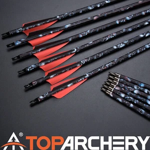 12 Bogenschießen 30" Jagdpfeile Spine 500 für Compound Recurve Bogen Langbogen - Bild 1 von 26