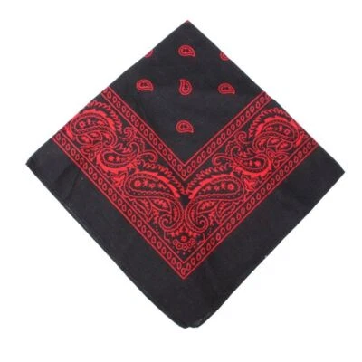 1-2Pcs Bandana 100% Cotton Paisley Print Double-Sided Scarf Head Neck Face Mask - Image 1 of 4