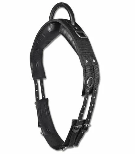 Longiergurt mit Handgriff Reitgurt für Shetty Waldhausen mit 6 Ringe schwarz - Bild 1 von 1