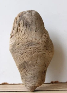 Treibholz Schwemmholz Driftwood 1 Skulptur Basteln Dekoration 13 cm hoch - Bild 1 von 11