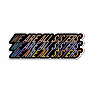 We Are All Sisters Sticker Decal Feminist Woman Girl Power Equal Rights - Picture 1 of 5