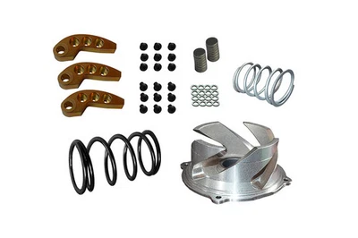 Straightline Performance Clutch Kit 123-144 241-25303 - Image 1 of 4