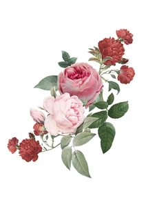 Riesiger XXXL Autoaufkleber Sticker Rosen Blumen Liebe Aufkleber - Picture 1 of 1