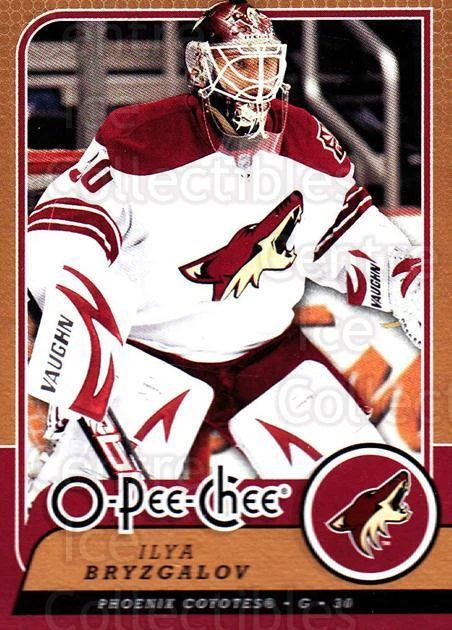 2008-09 O-Pee-chee #243 Ilya Bryzgalov - Image 1 of 1