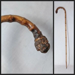 Antique Bamboo Root Ball Handle Walking Cane, 34.5" - Picture 1 of 19