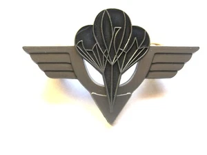 INSIGNE 1° RTP BREVET LIVRAISON PAR AIR CT2 VE (ECHELON ARGENT) ETAT SUP - Picture 1 of 2