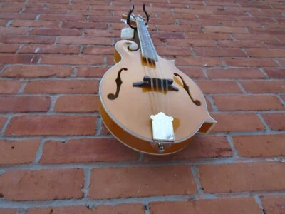 Rover RM-75 Mandolin w.bag — 第 1/4 张图片