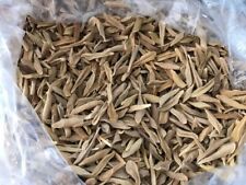 50 semillas de LOROCO Fernaldia pandurata para PUPUSAS, tamales lea descripcion
