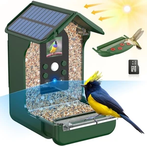 Cámara Alimentador Inteligente para Pájaros Rkdely Solar, 1080P HD Alimentador Inteligente para Pájaros con Cámara - Imagen 1 de 7