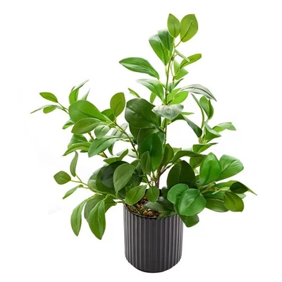 Plantas artificiales de interior de 16 pulgadas realistas de hoja perenne con maceta de cerámica negra Foto 1 de 4